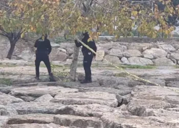 Sahilde iki kişinin cesedi bulundu