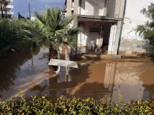 Yağmurdan 60 ev ve 2 iş yerini su bastı