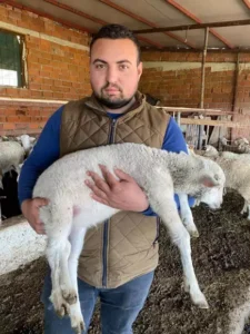 Çanakkale’nin Ayvacık ilçesinde Hüseyin Yılmaz’a (26) ait koyun, 5 bacaklı kuzu dünyaya getirdi.