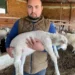 5 bacaklı doğan kuzu şaşırttı
