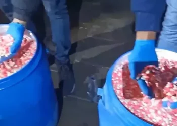 Kamyonette 412 bin sentetik hap ele geçirildi