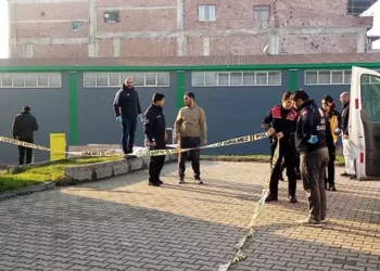 Yol kenarınca vurulmuş olarak bulundu