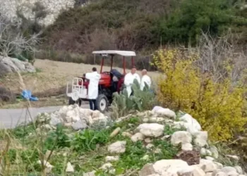 Traktörle kabir ziyaretinden dönerken öldürüldü