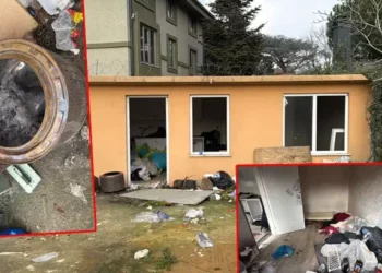  İki kardeş prefabrik evde ölü bulundu