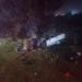 Ağaca çarpan otomobilin sürücüsü öldü