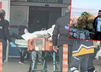 Köstebek öldürmek için kurduğu tabanca hayatına mal oldu