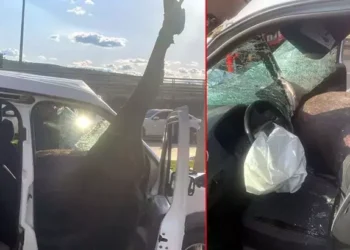 Yola fırlayan at polis aracına girdi