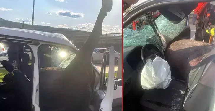 Yola fırlayan at polis aracına girdi