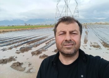 Acarlar’da tarım alarmı Fidanlar çürüdü (3)