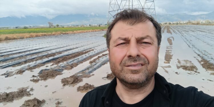 Acarlar’da tarım alarmı Fidanlar çürüdü (3)