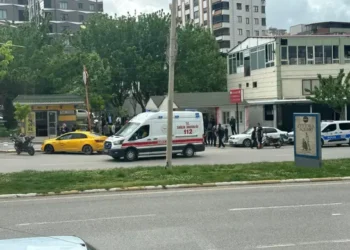 Ağabeyini tabanca ile vurdu