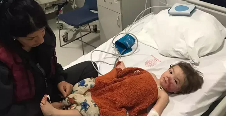 Apartmanda Pitbull dehşeti İki kardeş ölümden döndü