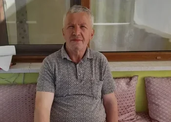 Arıların saldırısı ölümle bitti
