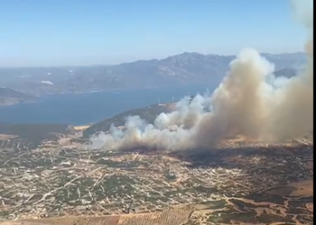 Didim’de makilik alanda yangın çıktı