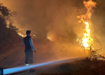 Aydın ve Muğla’da peş peşe 7 yangın (1)