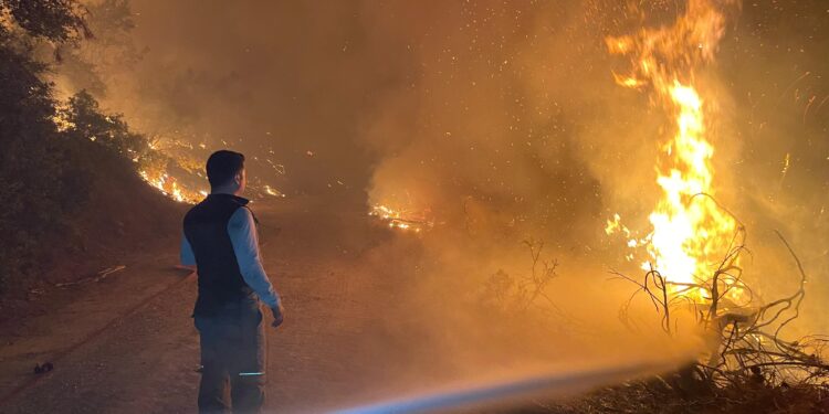 Aydın ve Muğla’da peş peşe 7 yangın (1)