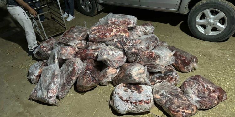 İncirliova’da 1 ton domuz eti yakalandı