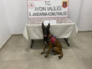 Aydın’da 1383 uyuşturucu hapla yakalandılar