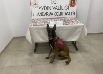 Aydın’da 1383 uyuşturucu hapla yakalandılar