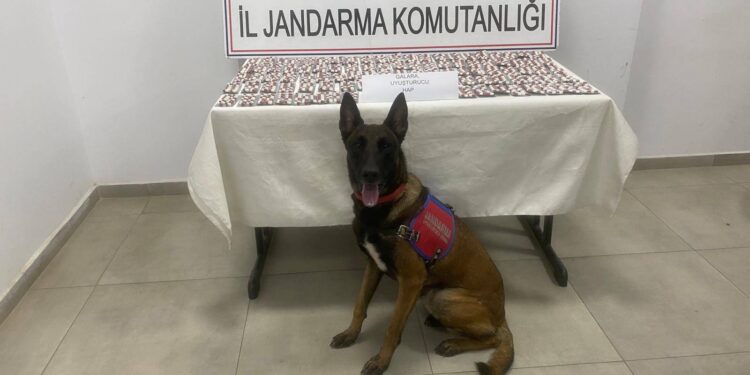 Aydın’da 1383 uyuşturucu hapla yakalandılar