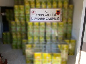 Aydın’da 14 bin 360 litre sahte zeytinyağı ele geçirildi