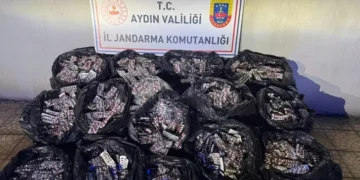 Aydın'da 152 bin 800 sentetik hap ele geçirildi