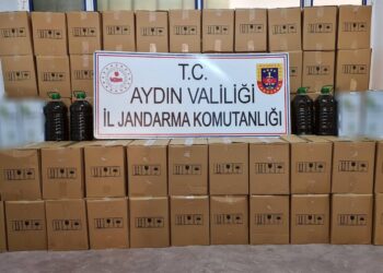 Aydın’da 1820 litre sahte zeytinyağı ele geçirildi