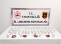 Aydın’da 3 bin 939 sentetik hap ele geçirildi