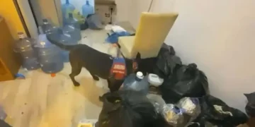 Aydın’da 5 İlçede uyuşturucu şebekesine darbe