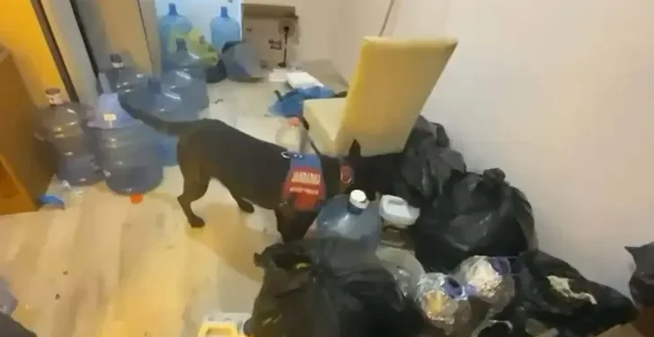 Aydın’da 5 İlçede uyuşturucu şebekesine darbe