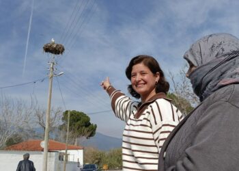 Aydın’da Emine leyleği gördü 1 çuval unu kaptı