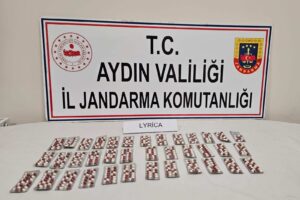 Aydın’da Jandarmayı gören şüpheli uyuşturucu tarlaya attı