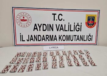 Aydın’da Jandarmayı gören şüpheli uyuşturucu tarlaya attı