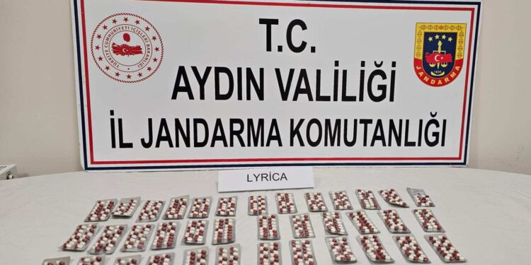 Aydın’da Jandarmayı gören şüpheli uyuşturucu tarlaya attı