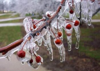 Aydın’da Perşembe gününe dikkat