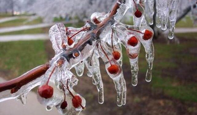 Aydın’da Perşembe gününe dikkat