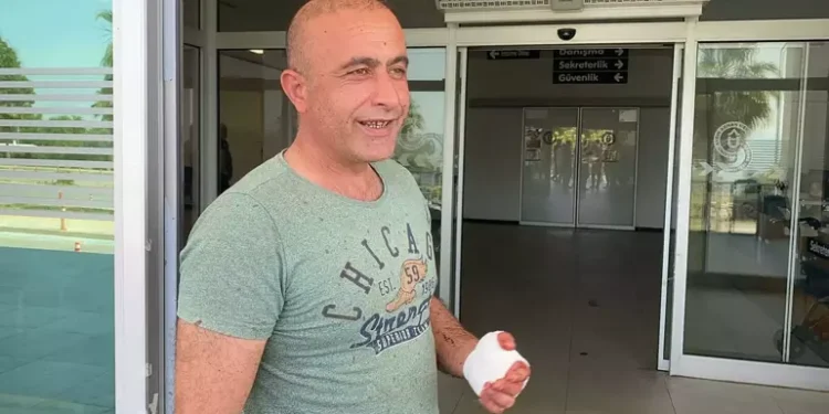 Aydın’da acemi kasaplar hastanelik oldu