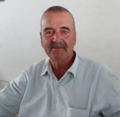 Aydın'da arı sokması can aldı