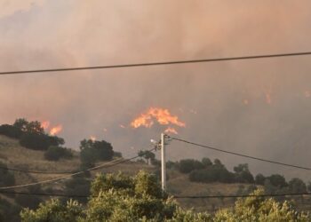 Aydın’da çıkan yangında bir mahalle tahliye edildi (2)