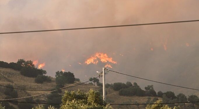 Aydın’da çıkan yangında bir mahalle tahliye edildi (2)