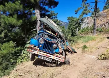 Aydın'da cip şarampole yuvarlandı 1'i çocuk 3 yaralı