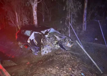 Aydın'da eşini öldürüp kaza süsü verdi