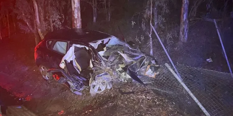 Aydın'da eşini öldürüp kaza süsü verdi