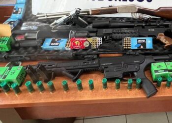 Aydın'da evden cephanelik çıktı (1)