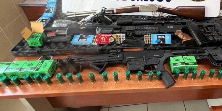 Aydın'da evden cephanelik çıktı (1)