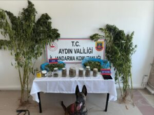 Aydın’ın Nazilli ilçesinde jandarmanın bir eve yaptığı operasyonda 3 kilogram