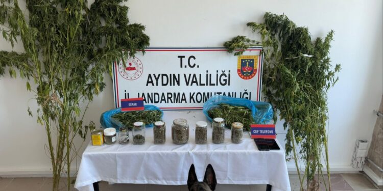 Aydın’da evinde 3 kilogram 698 gram uyuşturucuyla yakalandı (1)