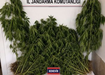 Aydın’da evinde uyuşturucuyla yakalandı