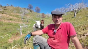 Aydın'da günlük 8 bin TL'ye at ile çift sürecek işçi bulunamıyor (2)