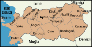 Aydın’da hangi ilçede kaç mahalle var